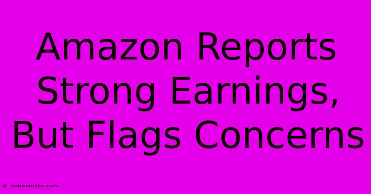 Amazon Reports Strong Earnings, But Flags Concerns