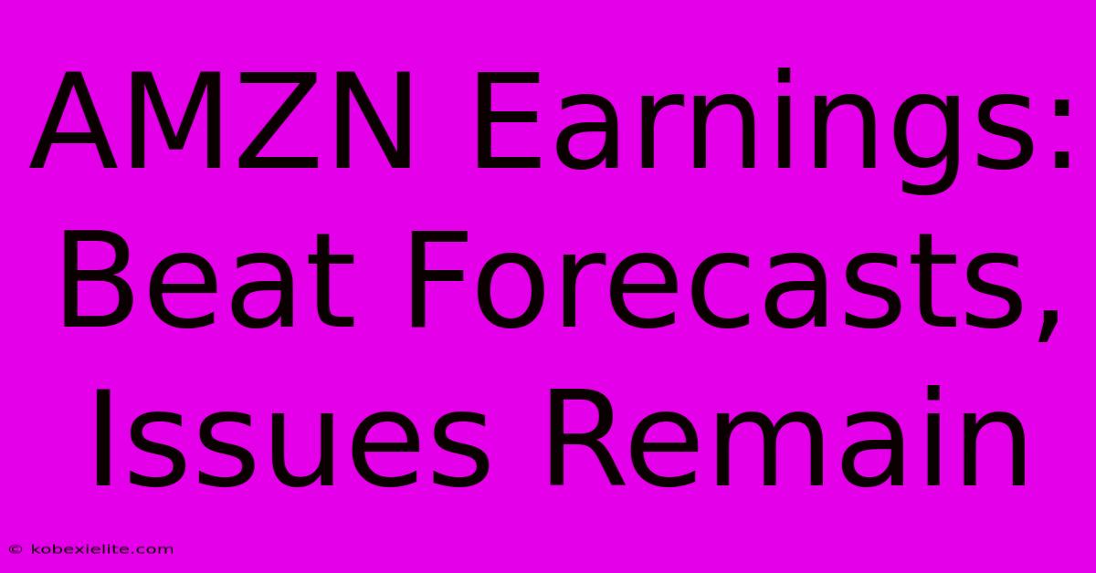 AMZN Earnings: Beat Forecasts, Issues Remain