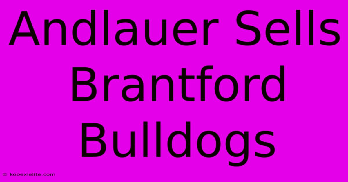 Andlauer Sells Brantford Bulldogs