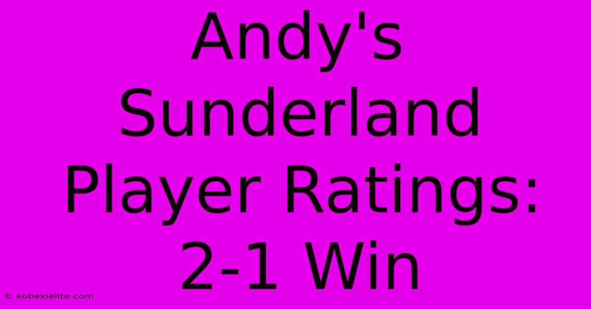 Andy's Sunderland Player Ratings: 2-1 Win