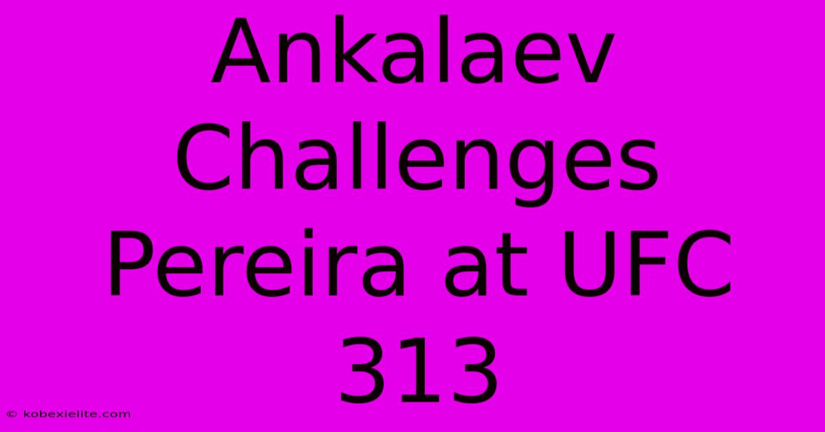 Ankalaev Challenges Pereira At UFC 313