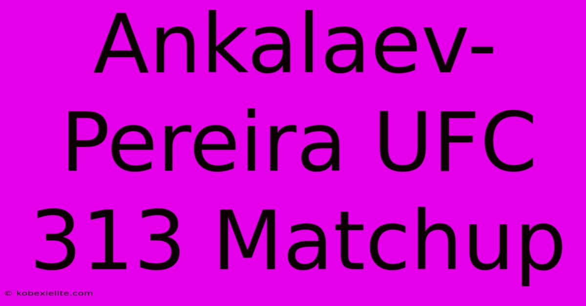 Ankalaev-Pereira UFC 313 Matchup