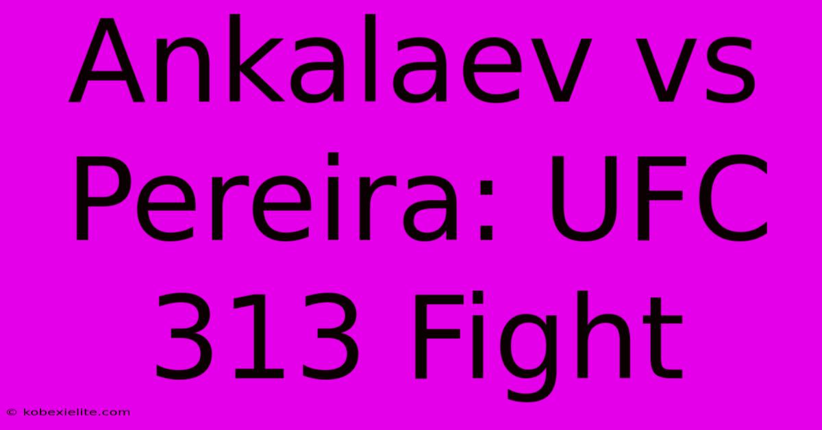 Ankalaev Vs Pereira: UFC 313 Fight