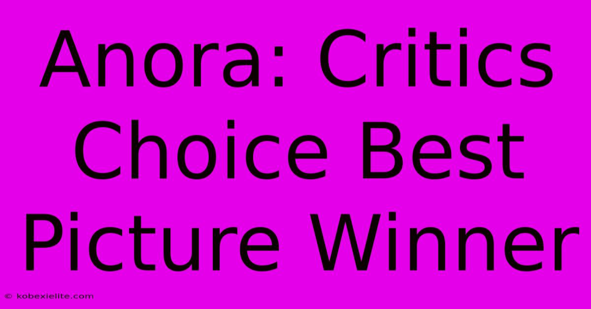 Anora: Critics Choice Best Picture Winner