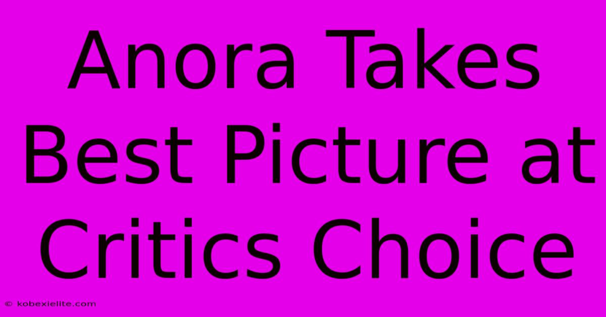 Anora Takes Best Picture At Critics Choice