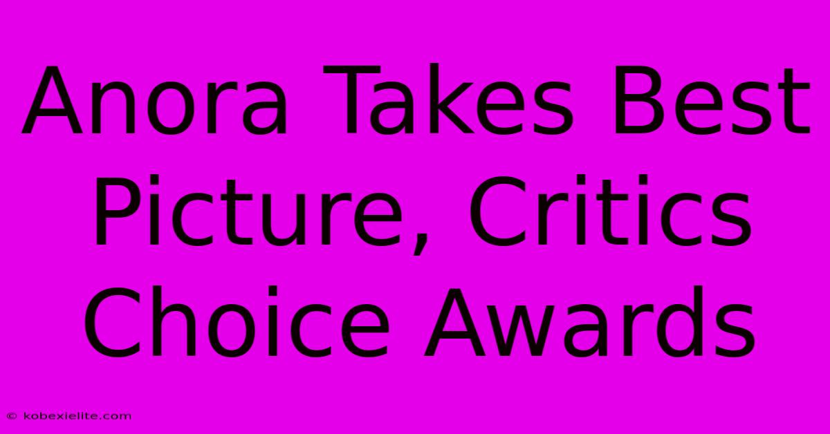 Anora Takes Best Picture, Critics Choice Awards