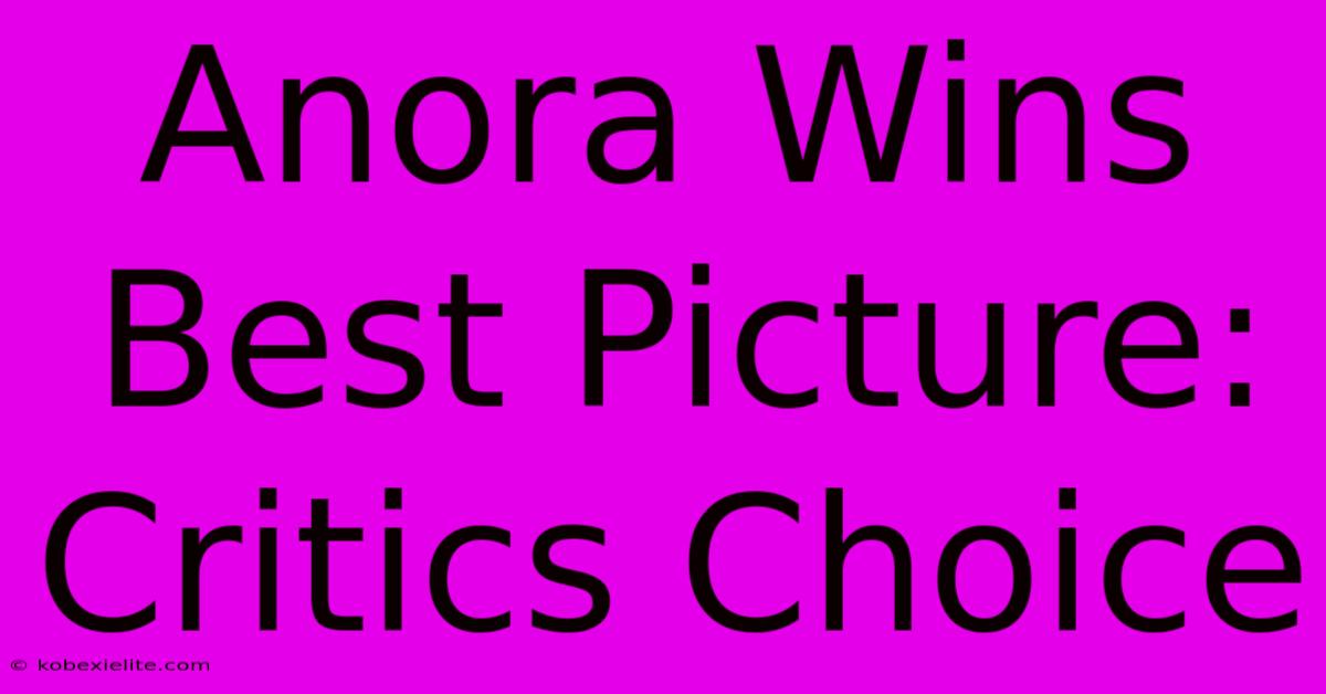 Anora Wins Best Picture: Critics Choice