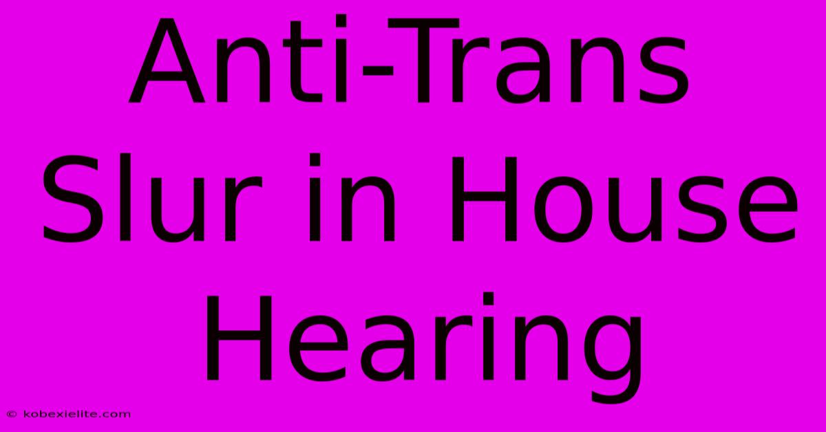 Anti-Trans Slur In House Hearing