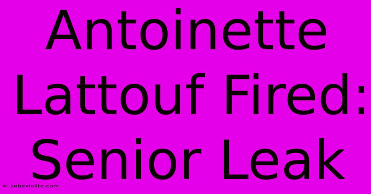 Antoinette Lattouf Fired: Senior Leak