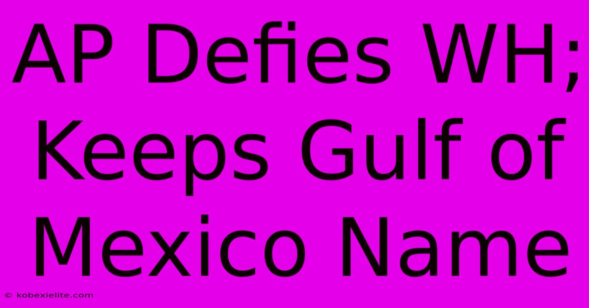 AP Defies WH; Keeps Gulf Of Mexico Name