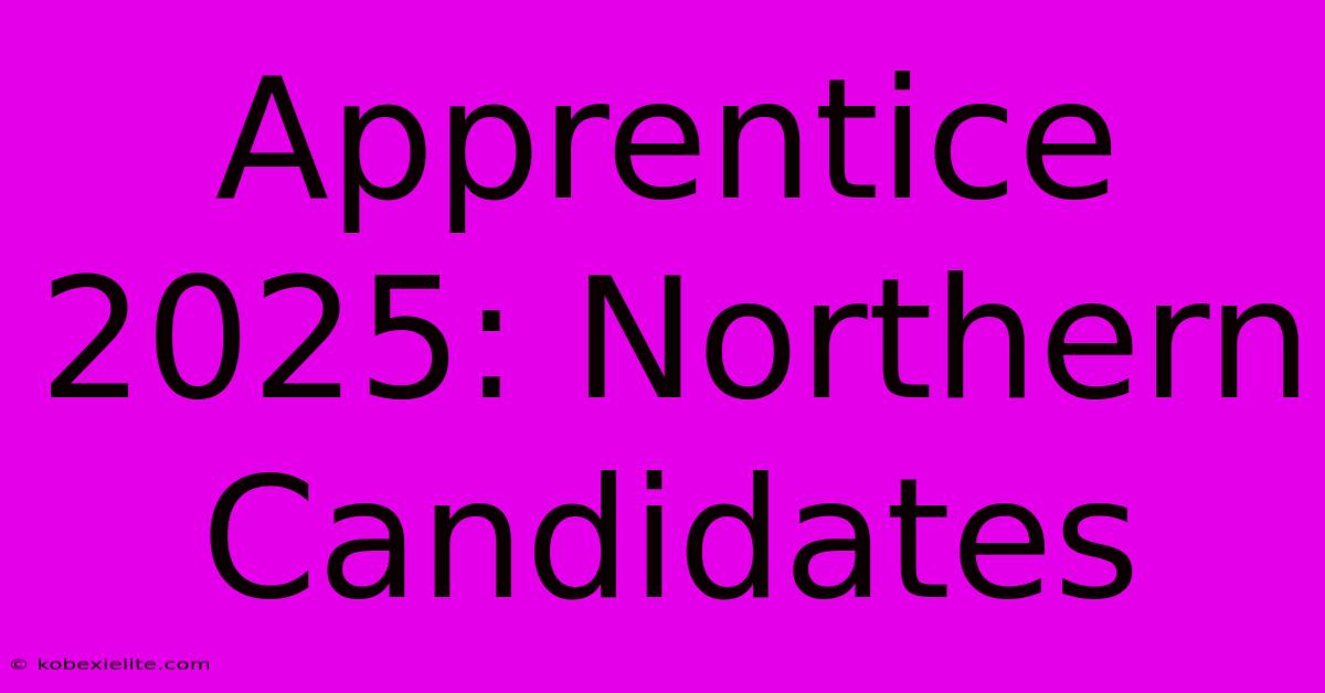 Apprentice 2025: Northern Candidates