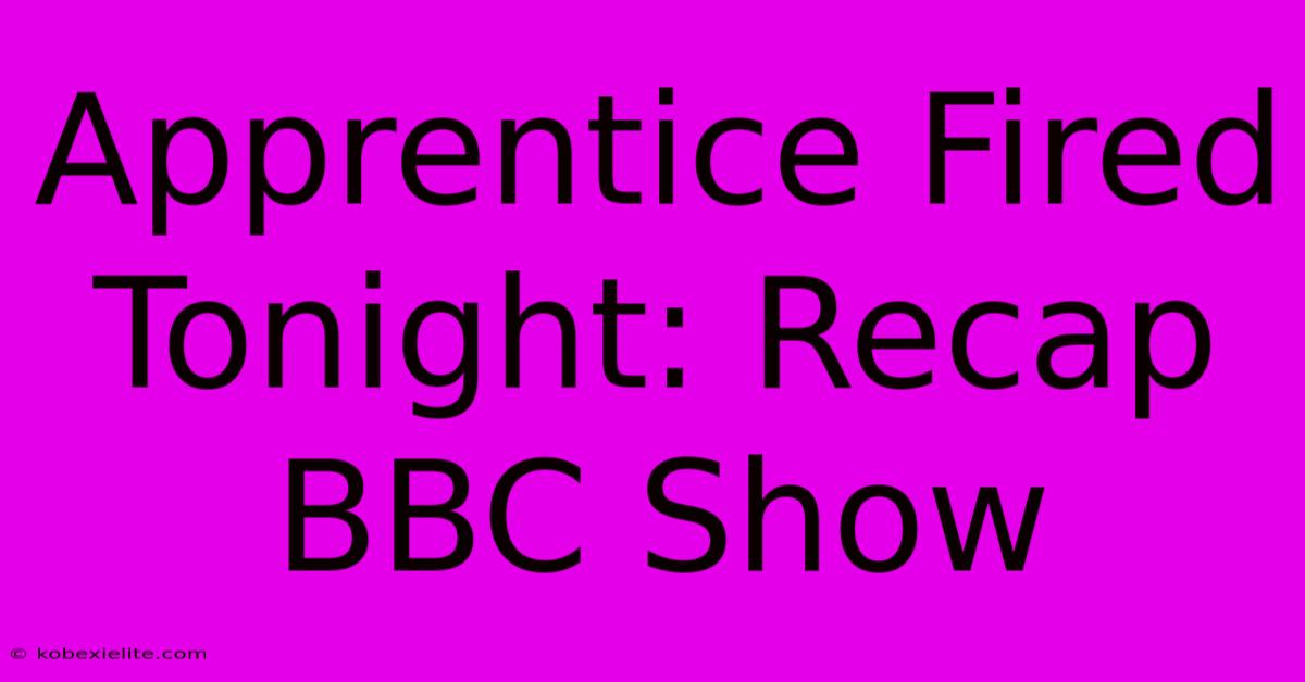 Apprentice Fired Tonight: Recap BBC Show