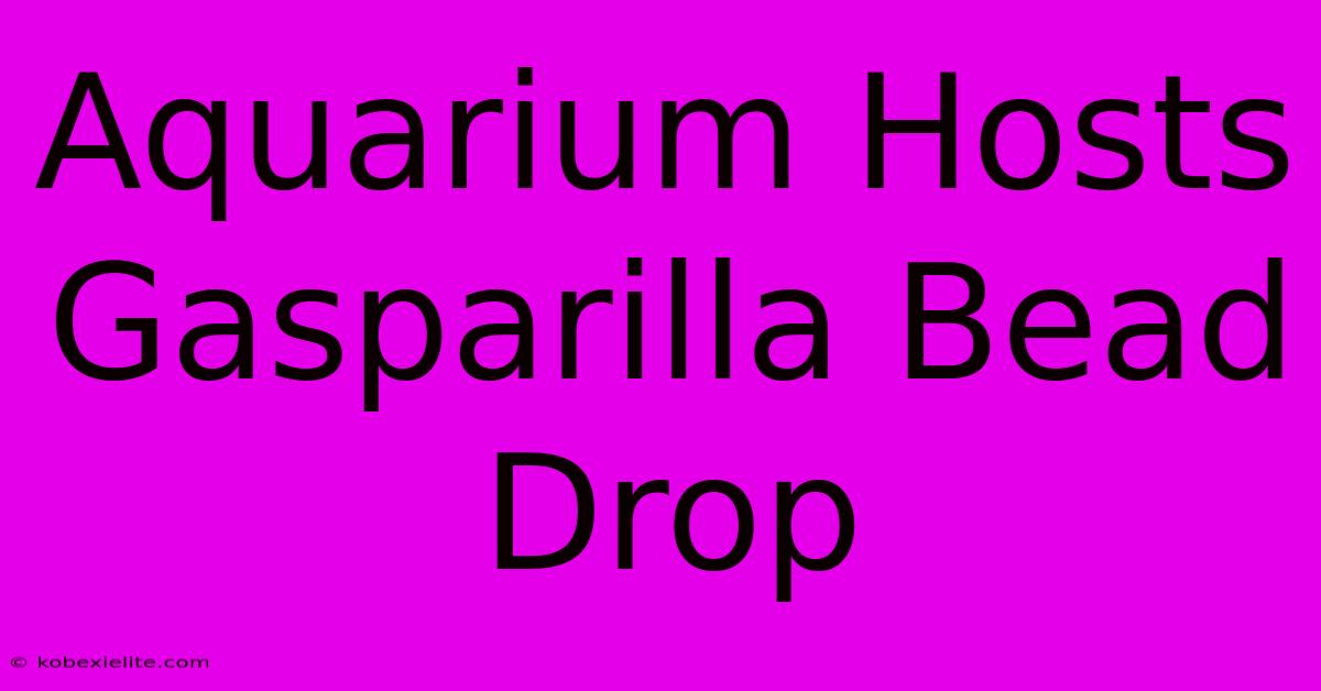 Aquarium Hosts Gasparilla Bead Drop