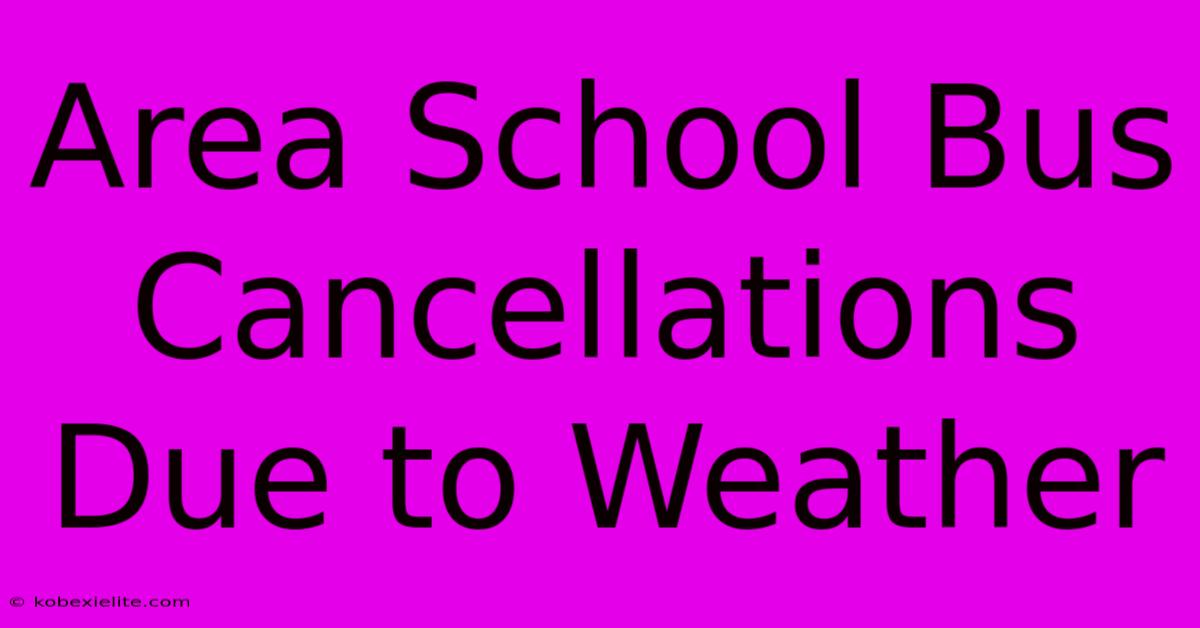 Area School Bus Cancellations Due To Weather