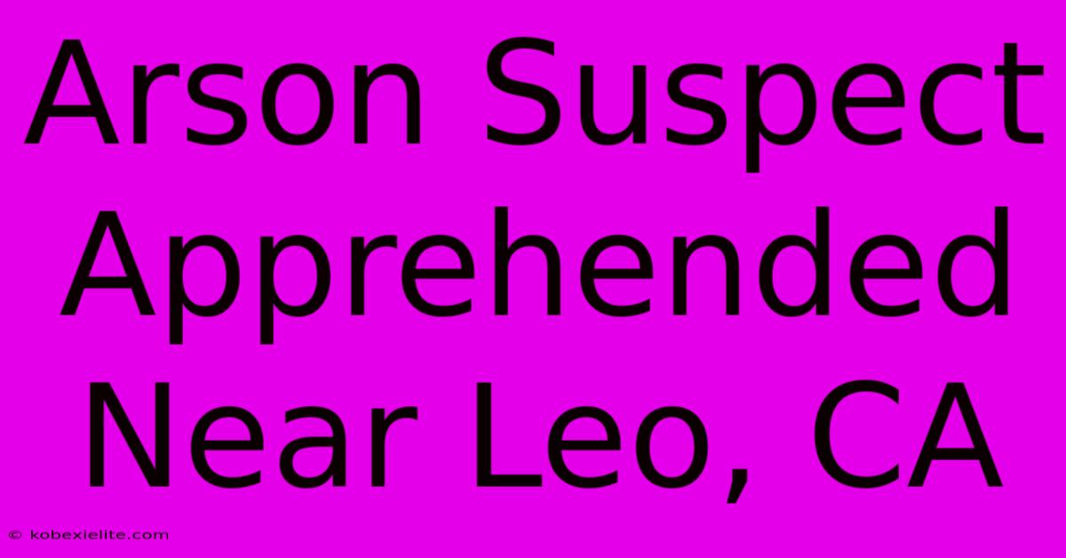 Arson Suspect Apprehended Near Leo, CA