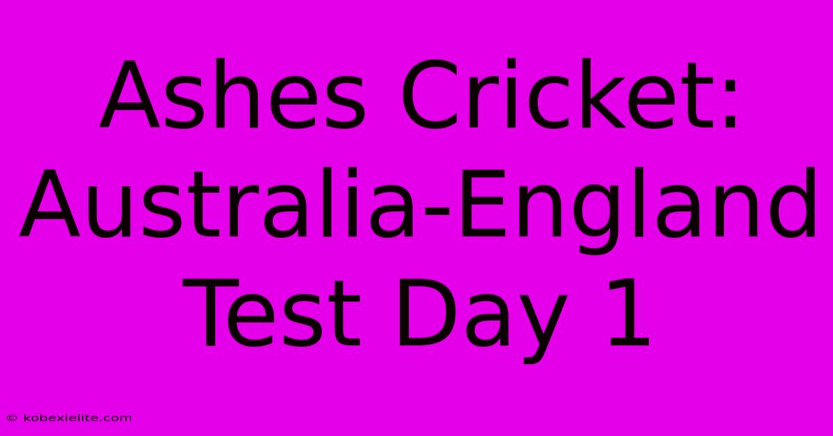 Ashes Cricket: Australia-England Test Day 1