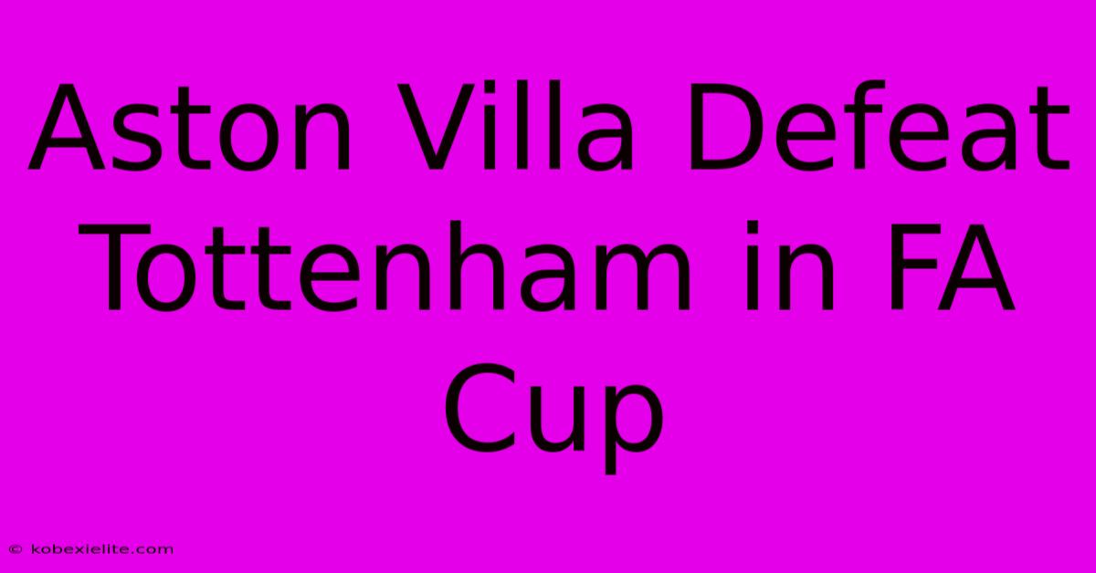 Aston Villa Defeat Tottenham In FA Cup