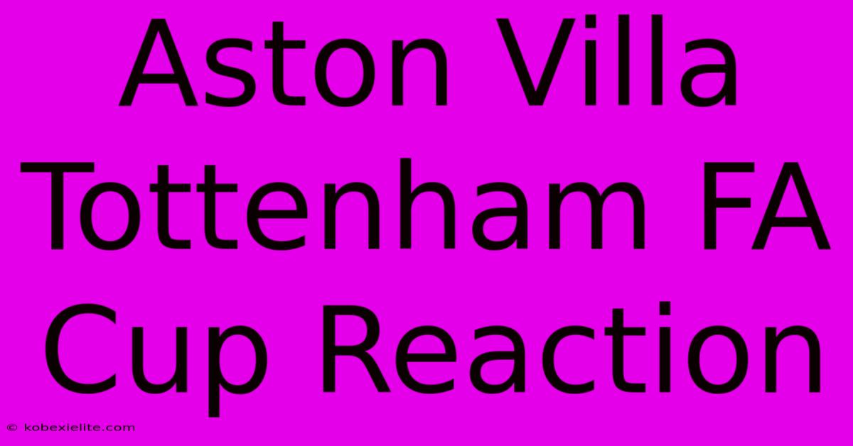 Aston Villa Tottenham FA Cup Reaction