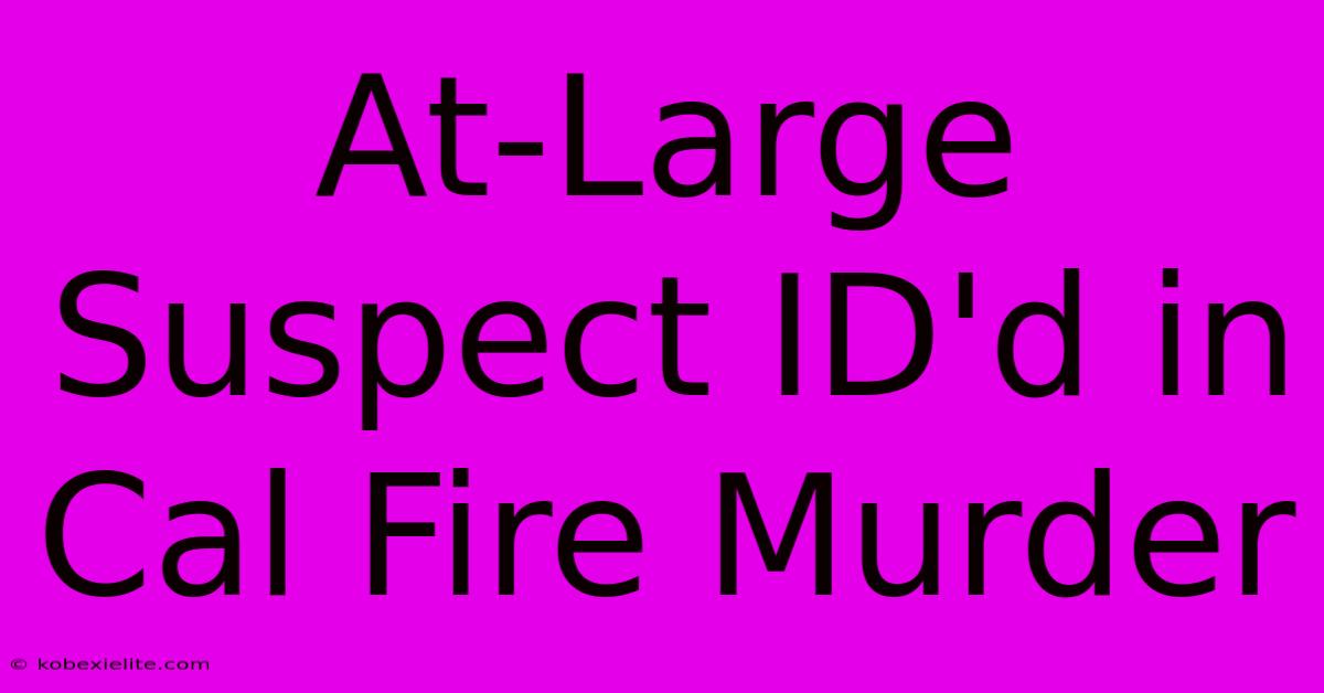 At-Large Suspect ID'd In Cal Fire Murder