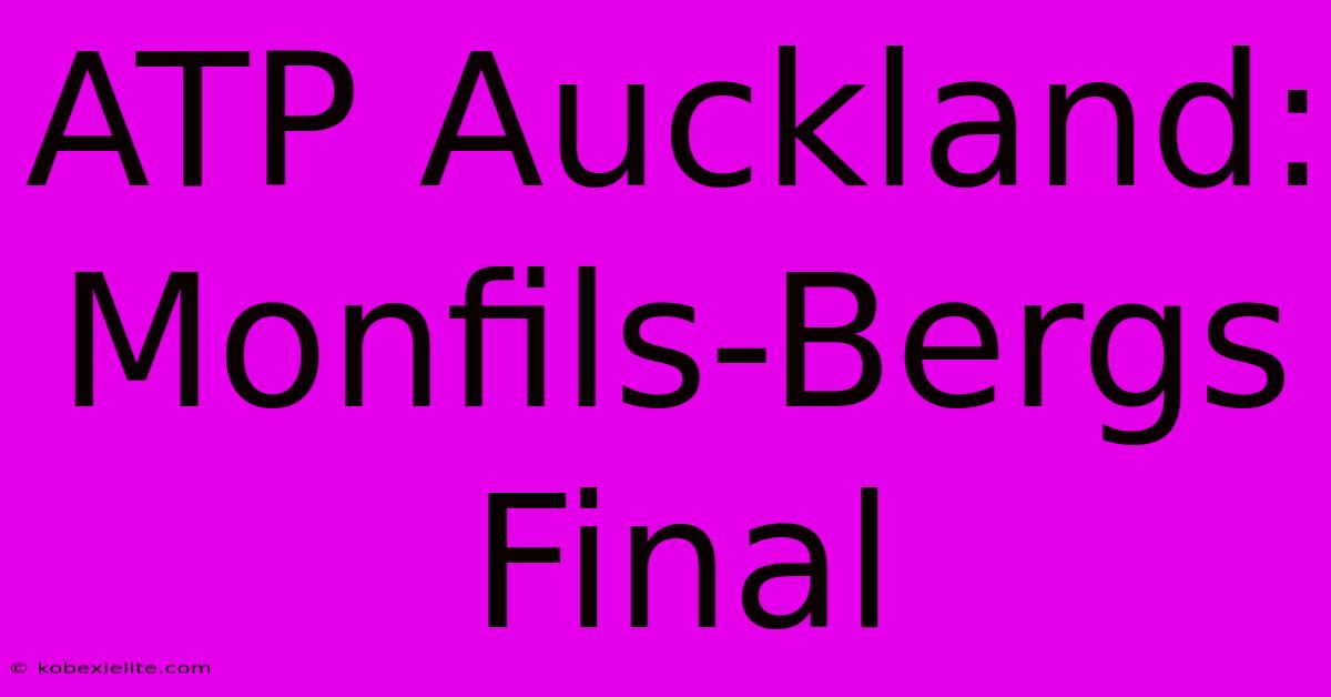 ATP Auckland: Monfils-Bergs Final