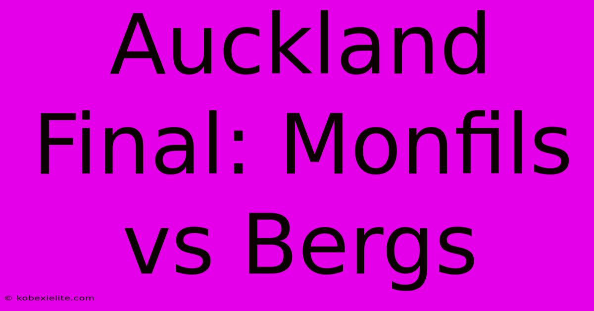 Auckland Final: Monfils Vs Bergs