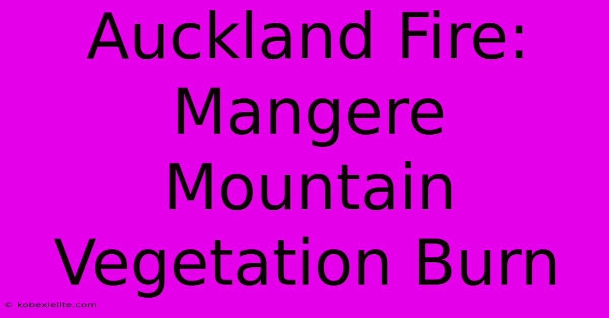 Auckland Fire: Mangere Mountain Vegetation Burn