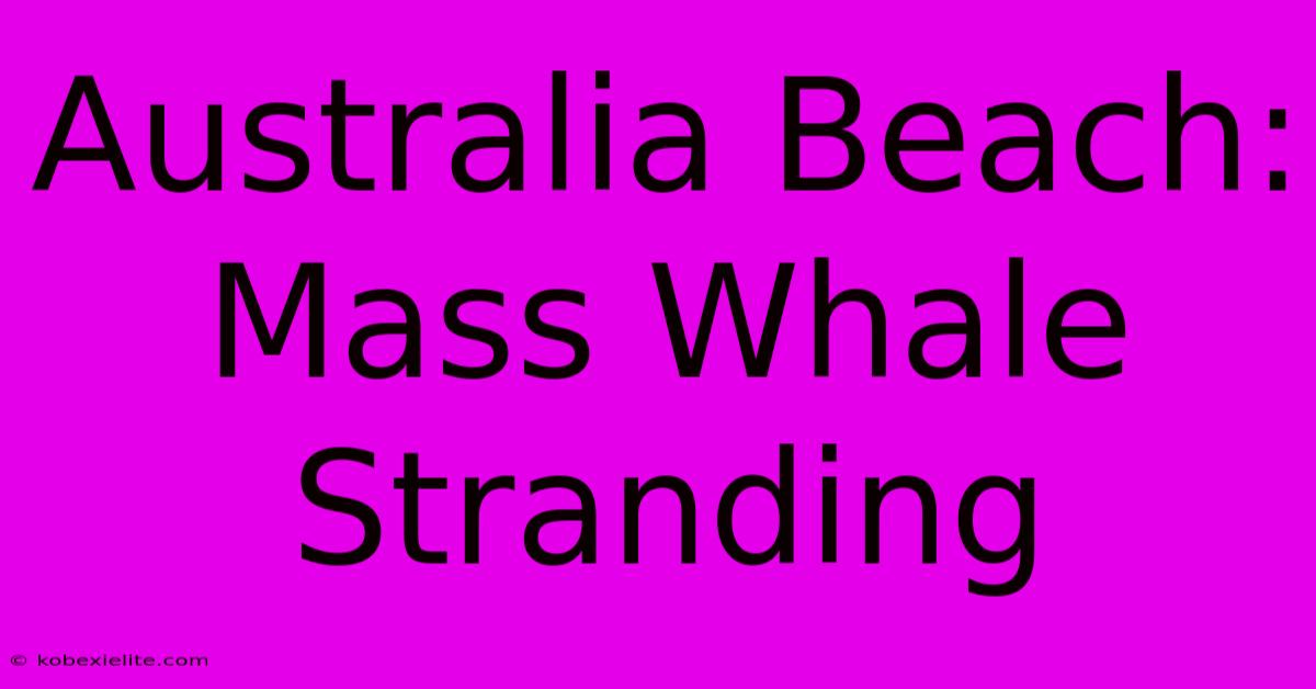 Australia Beach: Mass Whale Stranding