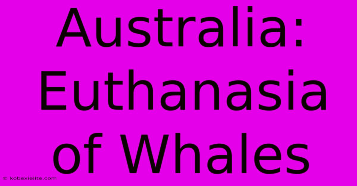 Australia: Euthanasia Of Whales