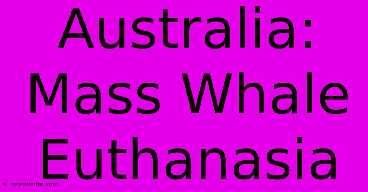 Australia: Mass Whale Euthanasia