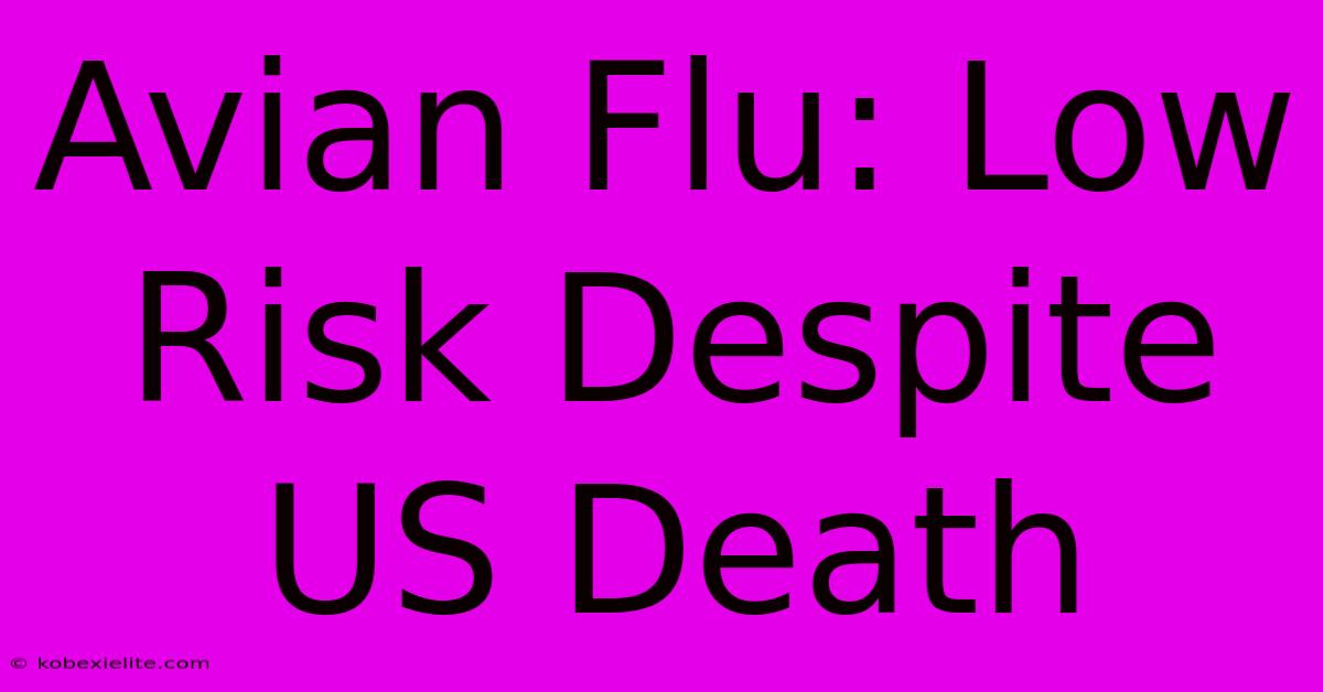 Avian Flu: Low Risk Despite US Death