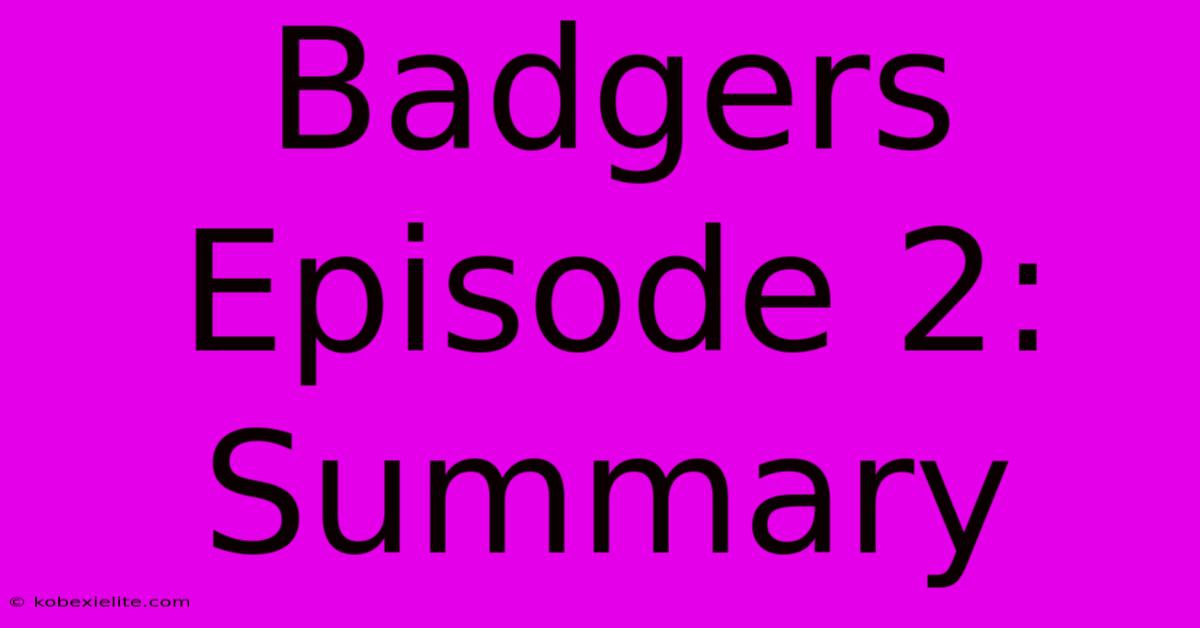 Badgers Episode 2: Summary