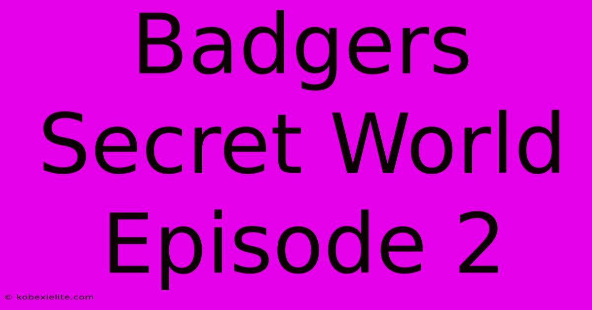 Badgers Secret World Episode 2