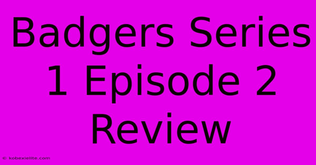 Badgers Series 1 Episode 2 Review