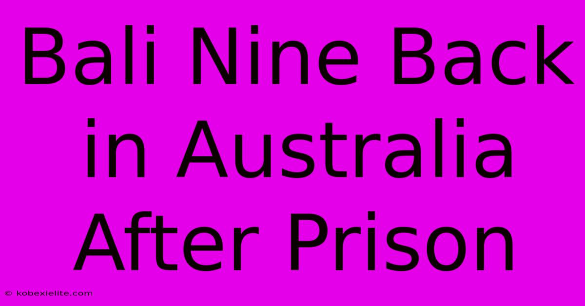 Bali Nine Back In Australia After Prison Bali Nine Back In Australia After Prison