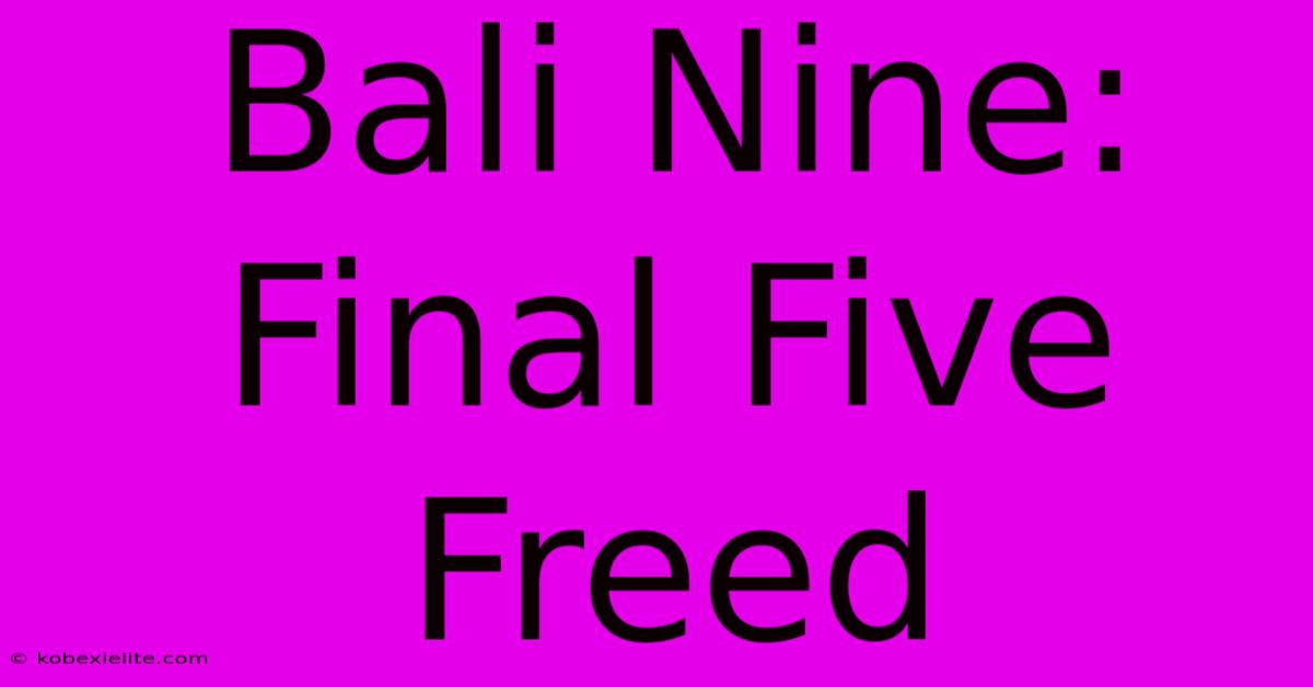 Bali Nine: Final Five Freed Bali Nine: Final Five Freed