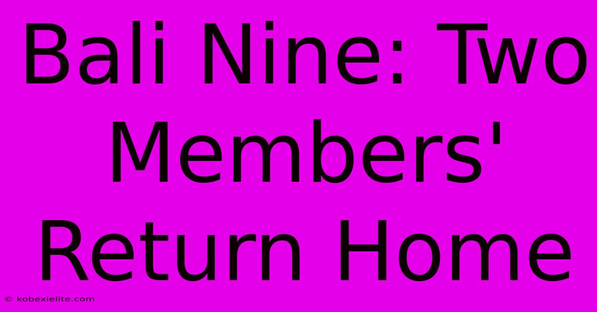 Bali Nine: Two Members' Return Home Bali Nine: Two Members' Return Home