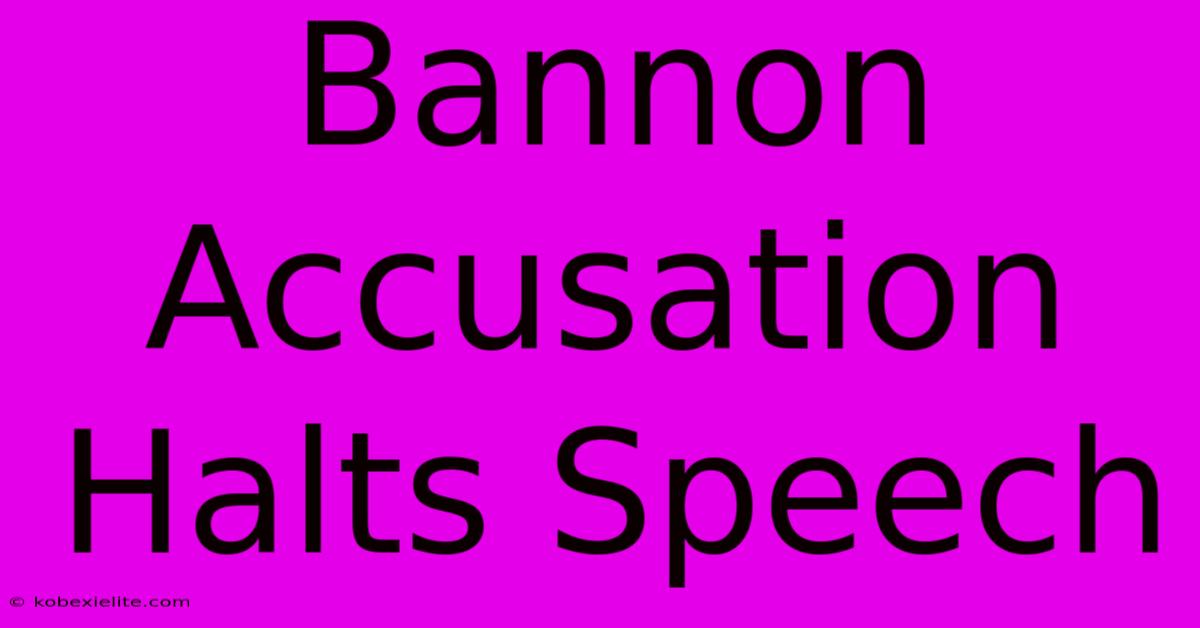 Bannon Accusation Halts Speech