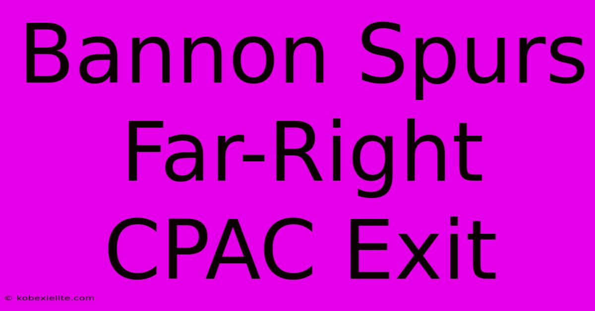 Bannon Spurs Far-Right CPAC Exit