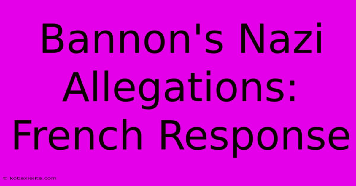 Bannon's Nazi Allegations: French Response