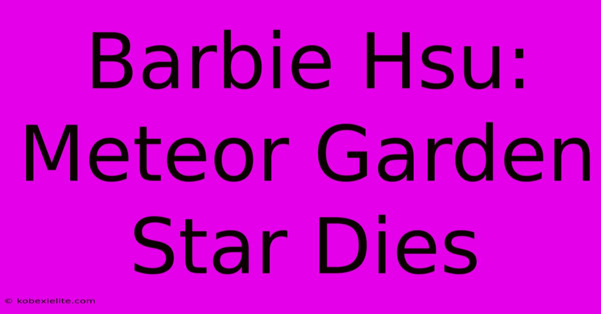 Barbie Hsu: Meteor Garden Star Dies