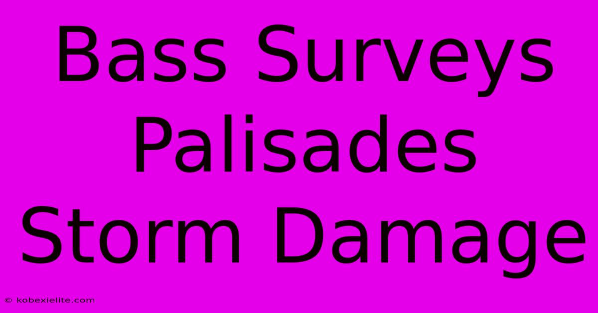 Bass Surveys Palisades Storm Damage