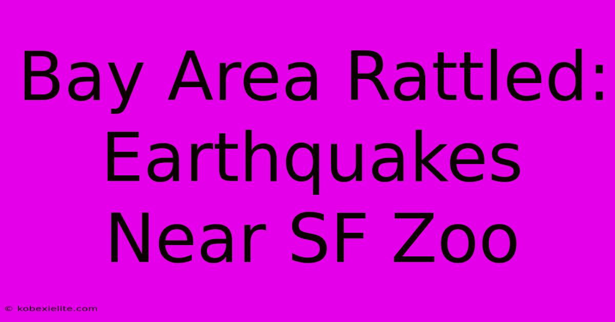 Bay Area Rattled: Earthquakes Near SF Zoo