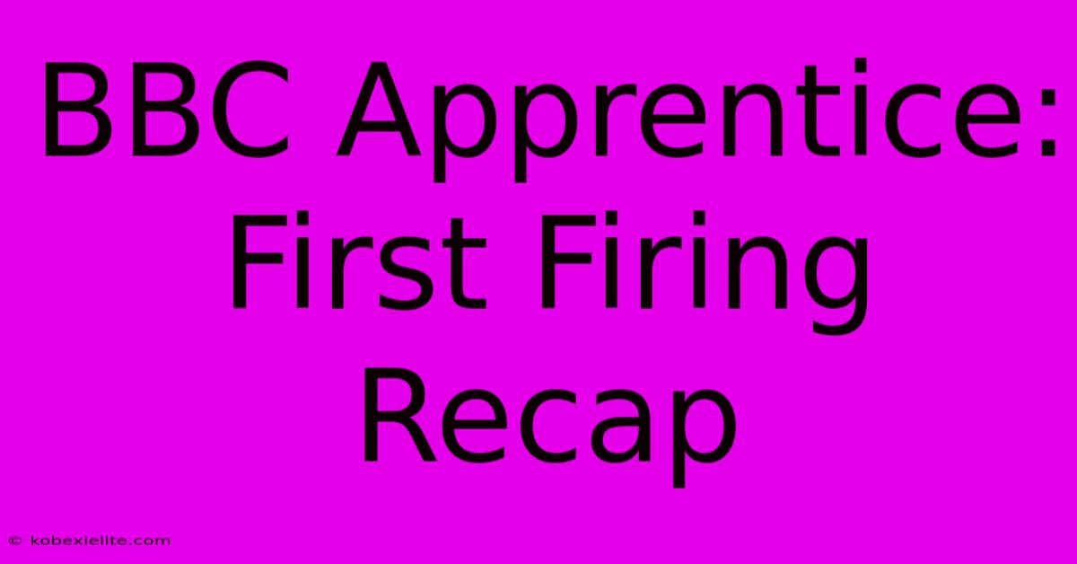 BBC Apprentice: First Firing Recap