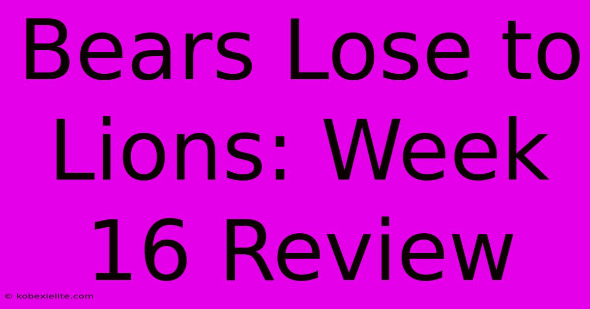 Bears Lose To Lions: Week 16 Review