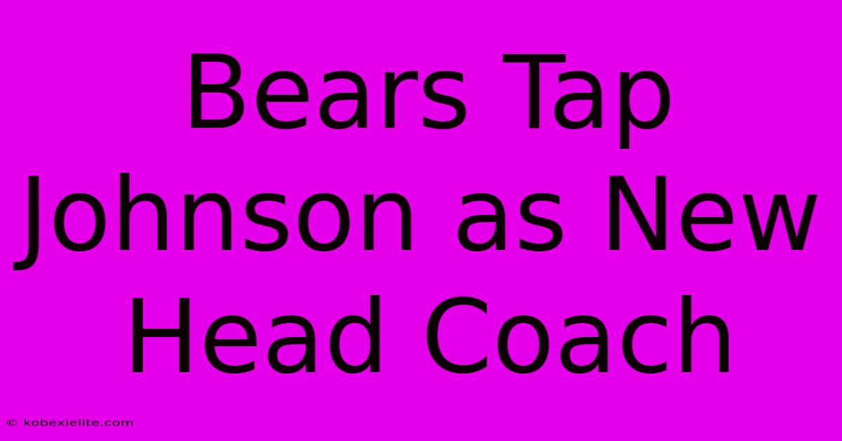 Bears Tap Johnson As New Head Coach