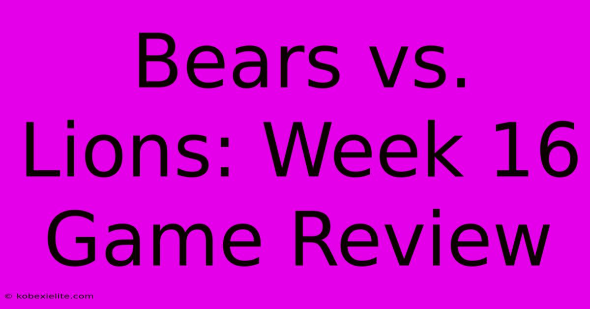 Bears Vs. Lions: Week 16 Game Review