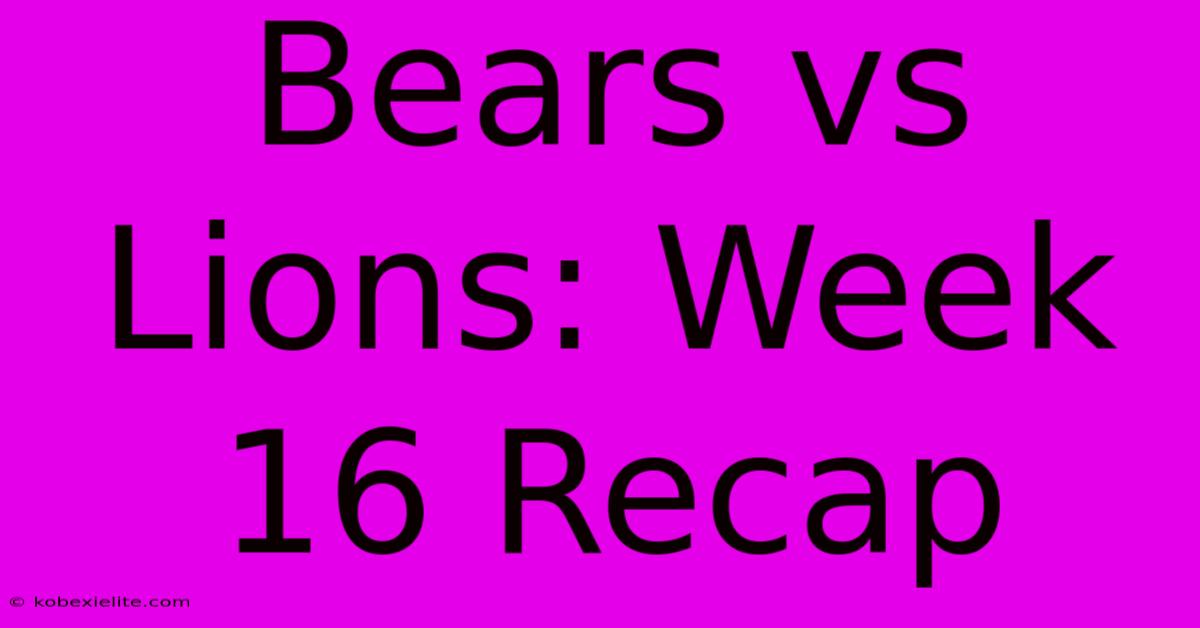 Bears Vs Lions: Week 16 Recap