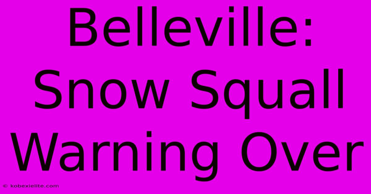 Belleville: Snow Squall Warning Over