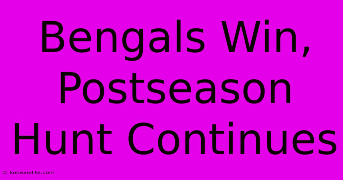 Bengals Win, Postseason Hunt Continues