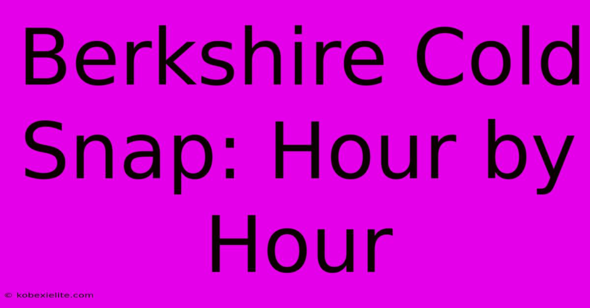 Berkshire Cold Snap: Hour By Hour